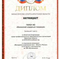 Диплом министерства спорта иркутской области